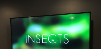 LG UJ6200 65″ TV with 4k and HDR review LG UJ6200 TV Insects Demo