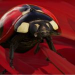 Xbox One X Insects 4k enabled