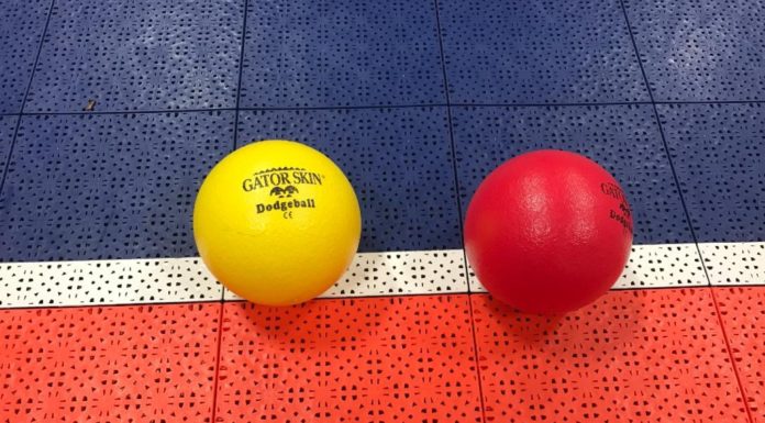 Gator Skin Dodgeball Review gator skin dodgeballs