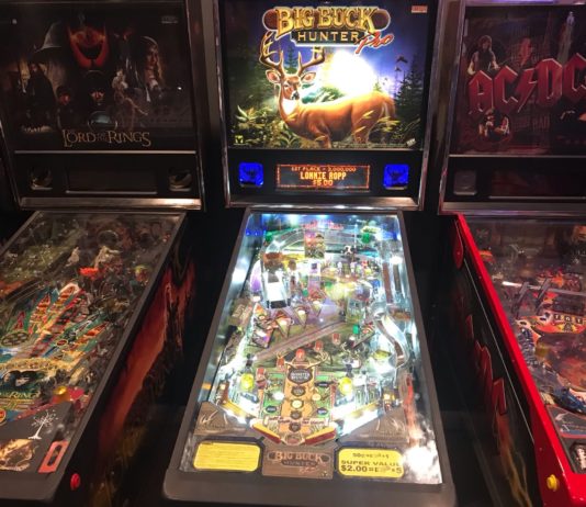 Big Buck Hunter Pinball Review Big Buck Hunter Pinball review